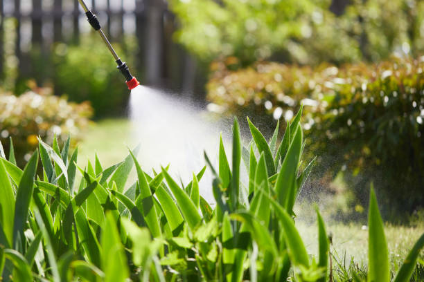 24/7 Emergency Fumigation Services experts in Vista Center, NJ