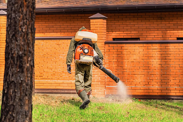Trusted Fumigation Services service in Vista Center, NJ - Nex Pest Control